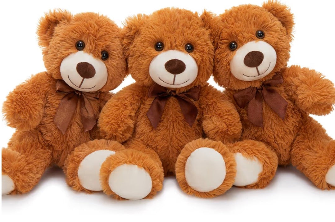 Custom Graduation Teddy Bear – Personalized Grad Bear Keepsake Class of 2026 🎓🐻