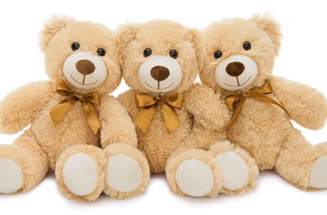 Custom Graduation Teddy Bear – Personalized Grad Bear Keepsake Class of 2026 🎓🐻